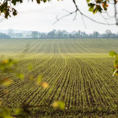 L'agriculture Nivernaise © Département de la Nièvre, Johan Boulet